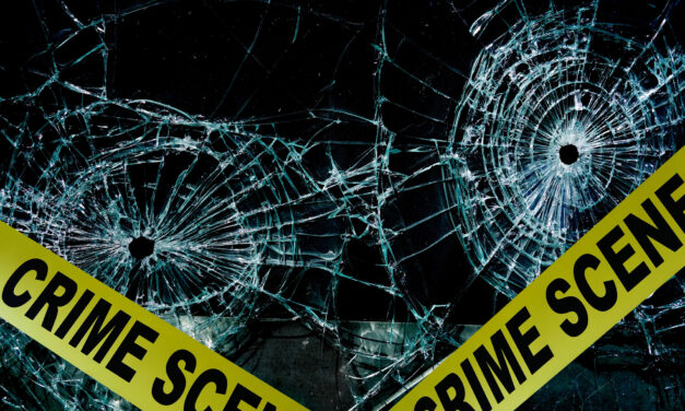 Violent Crime Trends in America: A Decade of Fluctuations and Decline (2014-2024)